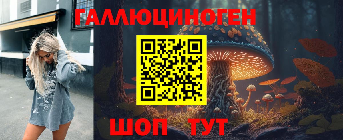 Псилоцибиновые грибы Psilocybine cubensis  Вход с VPN  купить наркотик  Новотроицк 